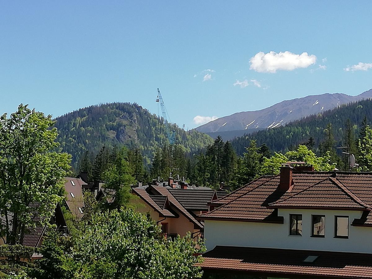 Arnika Wynajem Pokoi Zakopane Exterior foto
